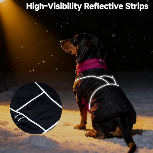 Veste pour chien imperméable réglable反光防寒保护 M码