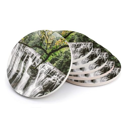 Sous-verre ronds en céramique cascade forêt amazonienne dessous de table