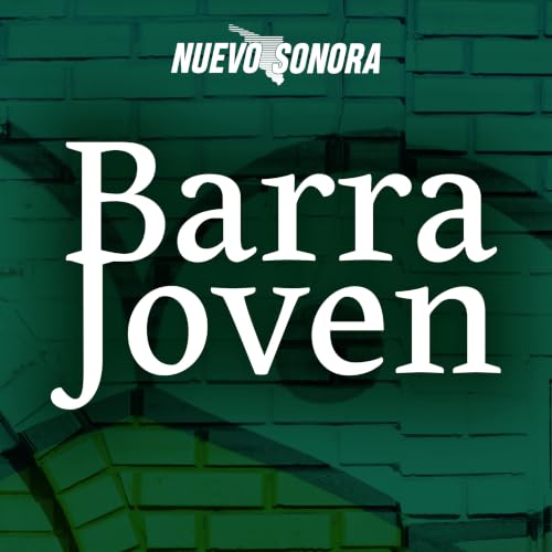 Arnoldo Armenta: El papel de los j&oacute;venes dentro del partido verde