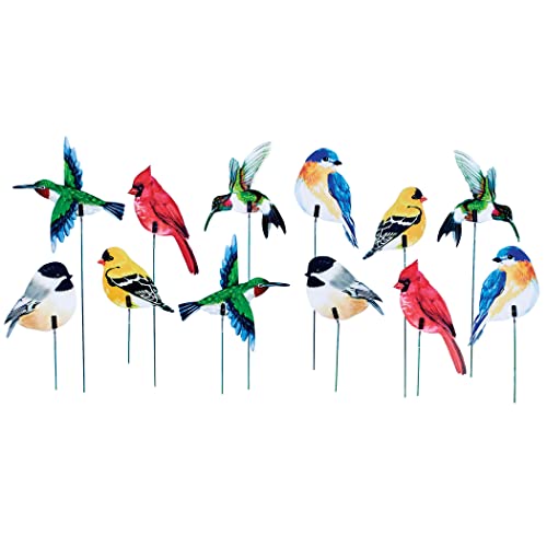 Collections Etc Colorful Bird Decorative Garden Stakes - Set Of 24 #TOP9