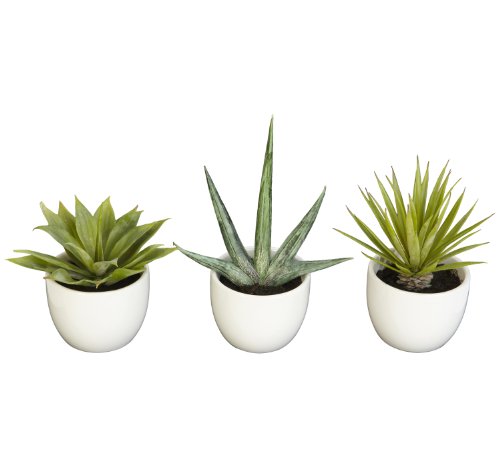 Nearly Natural Set of 3 Small Artificial Succulent Plants Potted for Indoor Decor