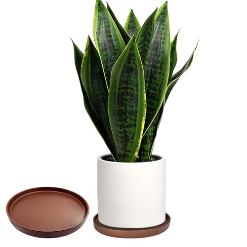 Yukfona Ceramic Plant Saucer Tray 2 Pcs 6.4 Inch Brown, 6.4" OD x6.02 ID x0.9 Deep| Fits flower pots Bottom≤ 6.02", Heavy Duty Glazed Round Planter Drip with Catch Basin for Indoor Outdoor Plants by Yukfona - Used condition - Image 4