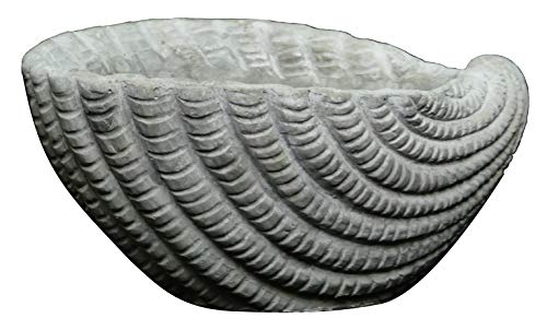 Classic Home and Garden Cement Seashell Planter, Cute Desk Decoration or Gift – Shell Planter w Drain Plug – Succulent Plant Pot for Indoor/Outdoor Beach Décor