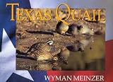 Texas Quail