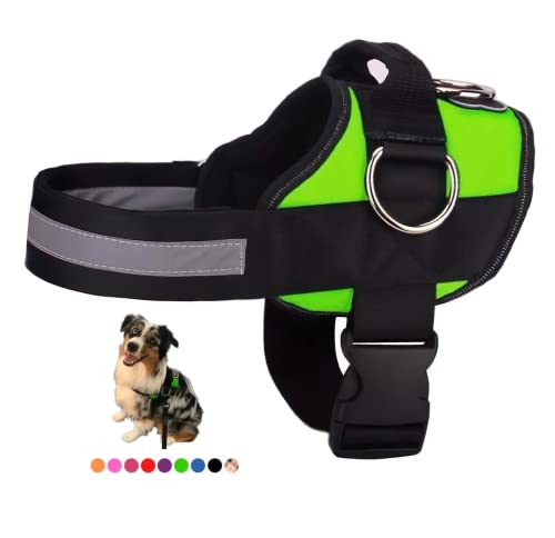 Joyride Harness for Small, Medium, Large Dogs, No-Pull Pet Harness with 3 Side Rings for Leash Placement, Adjustable Soft-Padded Vest for Training, Walking, Running, No-Choke, Easy On-Off Technology