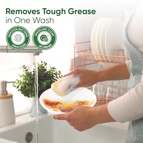 Image of Wiz Cleen Lemon Dish Wash-1L Refill (Pack of 2) | Powerful Cleaning Formual| 2x Stain Remover & Super Shine | Kills Germs | 70% Less Plastic Refill Pouch | Suitable for all type Utensils