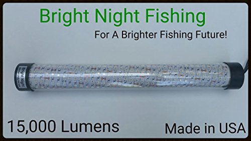 Bright Night Fishing 25Ft Cord Battery Clamp Under Water Green Led 15000 Lumens Night Fishing 300 Led Green Salt Fresh Water Dock Light Boat Crappie 12V Dc (Optional 110V Ac) Br:15000 #TOP4