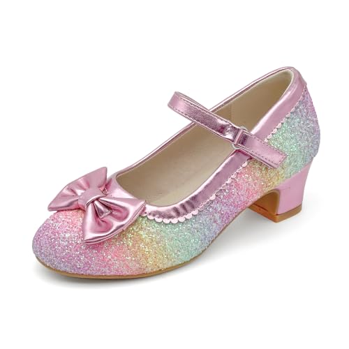 xinlanlin Glitter Mary Jane Girls Dress Shoes Low Heel Flower Princess Party Shoes for Toddlers