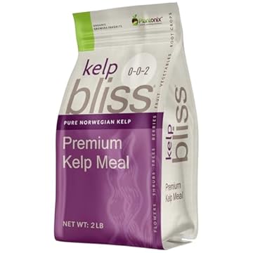 kelp lawn fertilizer
