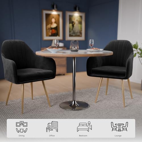 Image of Milano Velvet Comfort Dining Chair with Deep Cushion Seating, Strong Wooden Frame & Metal Support Legs for Dining, Living Room, Bedroom, Balcony & Office (Carbon Black)
