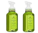 Eucalyptus MInt Gentle Foaming Hand Soap 2 pack 2019