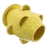 Aération : les pots à orchidées en céramique perforés assurent une bonne aération et une croissance saine des racines, ce qui les rend idéaux pour les orchidées et autres plantes à fleurs