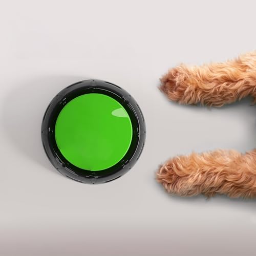 Dog Using YoFellas Pet Communicator Buttons