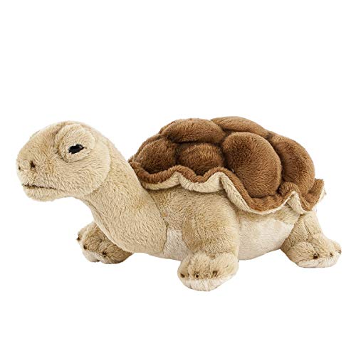 Preisvergleich Produktbild Teddys Rothenburg Kuscheltier Landschildkröte braun 20 cm Plüschschildkröte