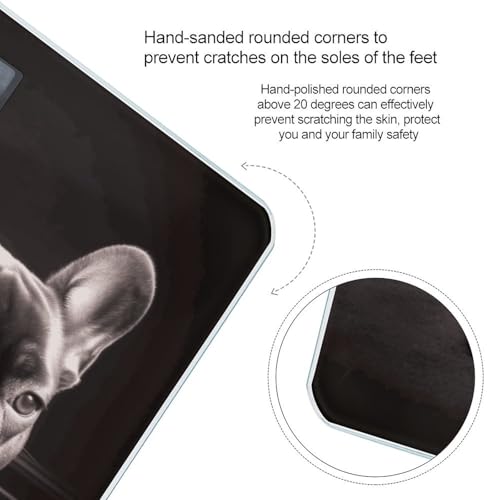 Báscula Digital de Baño French Bulldog Capacidad 400 lb miniatura 4