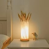 GOUTOOL Flower Table Lamp, USB Rechargeable Flower Vase Lamp, Touch Dimming Night Light, LED Frosted Glass Shade Bedside Lamp for Bedroom Living Room Home Decor (Cylinder)