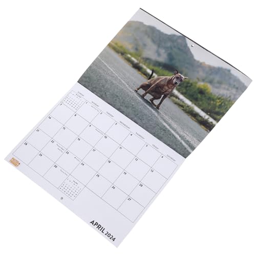 DIYEAH Calendario De Pared 2024 Con Impresión Transparente Calendario Para Refrigerador Calendario Diario Calendario Mensual De 12 Meses Calendario De Pared Con Líneas Divertido