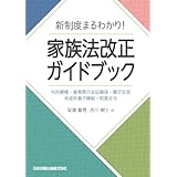新制度まるわかり!家族法改正ガイドブック 共同親権・養育費の支払確保・親子交流・未成年養子縁組・財産分与