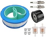 Hippotech 394018S 272490S Luftfilter und 492932S Ölfilter für Briggs 392642 394018 271271 272490