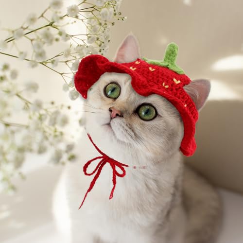 Piriuuo Strawberry Cat Hat, Cotton & Soft Cute Knitted Hats for Cats Birthday Party Christmas Puppy Hat for Small Pets (Red, M)