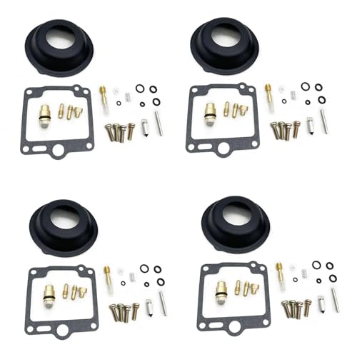 Kit réparation carburateur FJ1200 pour réfection complète avant hivernage ou remise en route
