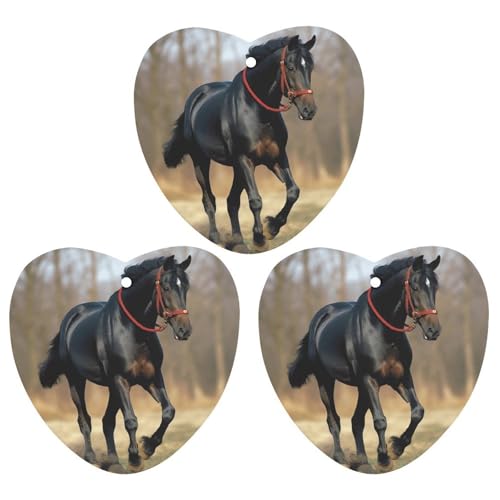 ԗpFܒ݂艺`bv3_pbN Ԃ̍tnMOV[g   Ԃ̃CeA Ő̏̔n