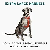 Embark Pets Adventure Dog Harness, Easy On and Off with Front and Back Lead Attachments & Control Handle - No Pull Training, Size Adjustable and No Choke (XL Orange) - Image 2