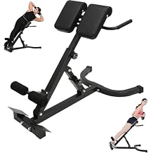 Roman Chair for Back Hyperextensions & Chest Dips - Adjustable Hyperextension Bench w/5 Tilt Positions, 380lbs Max Load, Ab Pad, Home Gym Strength Trainer for Back Extensions, Weighted Hyperextensions