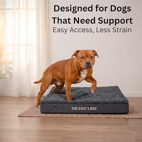 Lit orthopédique pour chien XXL gris imperméable déhoussable