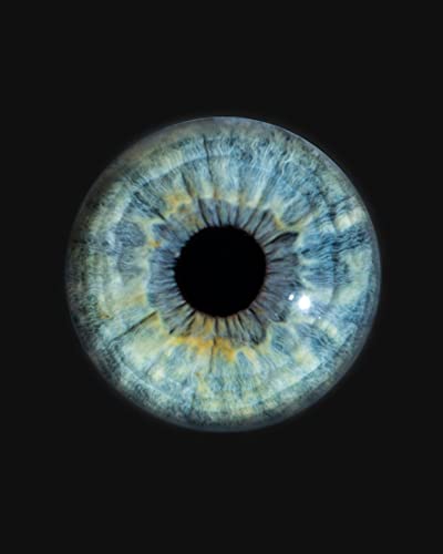 Couverture de The Art of the Open Heart