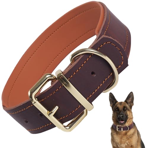 Collier en Cuir véritable rembourré, Ajustable pour Grands Chiens(Marron L)