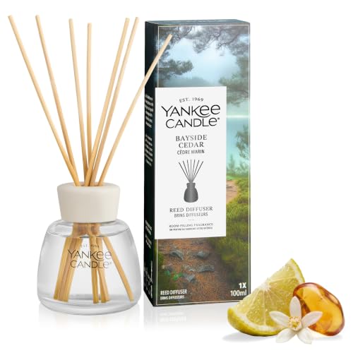 Yankee Candle Diffusore a Bastoncini | Bayside Cedar | Per spazi piccoli e medi | Fino a 10 settimane di fragranza