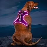 Vizbrite Light Up Dog Harness, No Pull LED Dog Harness with Handle, Rechargeable Lighted Safety Vest for Small Medium Large Dogs, Adjustable Soft Dog Lights for Night Walking