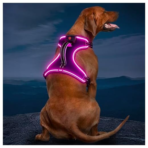 Light Up Dog Harness No Pull LED Dog Harness with Handle Vizbrite Rechargeable Lighted Dog Vest Harness for Small/Medium/Large/X-Large Size Dogs No Pull, 4 Point Adjustable Dog Harness