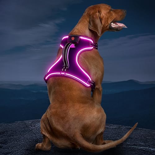 Vizbrite Light Up Dog Harness, No Pull LED Dog Harness with Handle, Rechargeable Lighted Safety Vest for Small Medium Large Dogs, Adjustable Soft Dog Lights for Night Walking