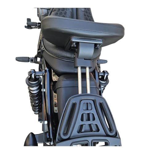 Dossier Moto avec Porte-bagages pour Nightster RH 975