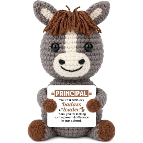 Principal Appreciation Gifts for Women Men, Best Principal Gift for Leader