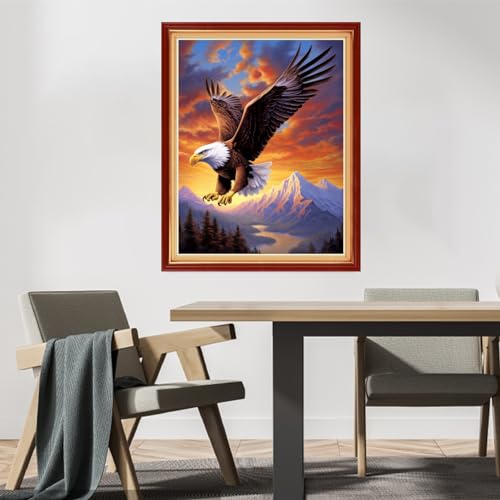 Image of DMCVIVR Stamped Cross Stitch Kits for Beginners Adults Needlepoint Kits for Beginners Embroidery Kits for Adults Crossstitch Kit for Beginners 11CT-Sunrise Eagle 16x20 inchs