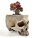 RMM Halloween Decoration Retro Human Skull Head Flower Pot Planter Bed Box Container Replica Home Bar Décor,Clear