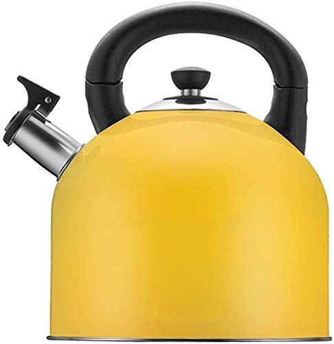 Teekanne Edelstahl Pfeifkessel Gaskessel für Induktionskochfelder Gaskeramik Küche Camping Herd Kessel 4L, für Zuhause, Büro, Outdoor