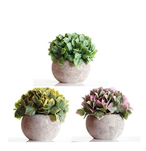 KharidoLive Artificial Plant with Plastic Pot (Multicolour, 3 Piece)… (B09BG1SZ7X) Amazon Price History, Amazon Price Tracker