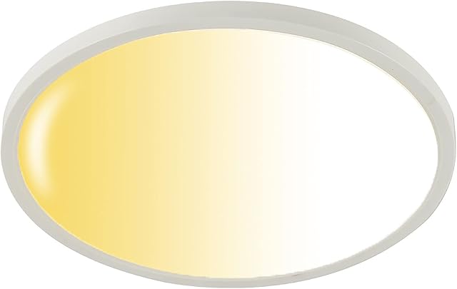 Newrays 29cm LED White Flush Mount Ceiling Light with Remote Control Fixture,3000~6000K Round Close to Ceiling Light/RGB Back Ambiant Light for Bedroom Kitchen Hallway