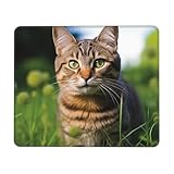 Base en caoutchouc antidérapant : tapis de souris de jeu, ombrage dense et base en caoutchouc antidérapant pour améliorer la friction, peut adhérer fermement au bureau. Un tapis de bureau chat tigré sur l'herbe s'adapte à tous les types de surfaces, y compris le bois, le verre, le marbre, le métal et plus encore. Offre une expérience plus agréable lorsque vous travaillez ou jouez