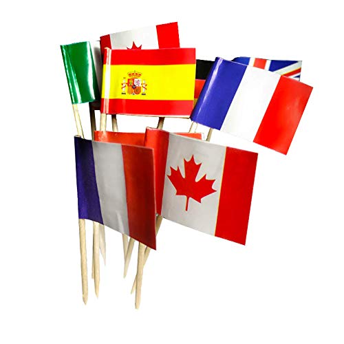 National Flag Picks Flag Toothpicks Cocktail Sticks Cupcake Toppers, Random Country, 100 Count #TOP14