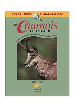 CORSE Rf135 - POSTER HQ 50x70cm d'une AFFICHE VINTAGE