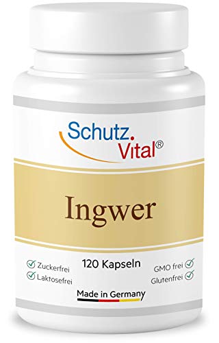 Ingwer Kapseln hochdosiert - 1000 mg je Tagesdosis - 100% reine Ingwer Kapseln ohne Zusätze - Laborgeprüft und in Deutschland produziert Cover