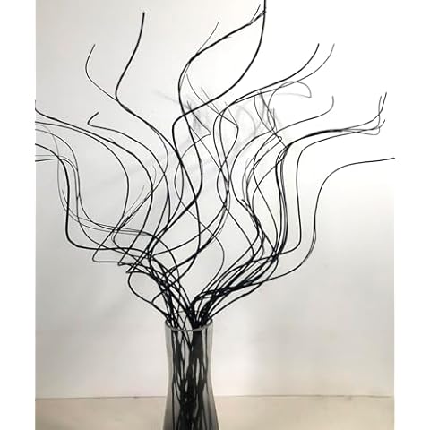 DongArts Dried Wavy Curly Willow Branches, Decorative Vase Filler Branches for Decoration, Ting Ting Branches for Vases Xmas Tree Garland Wreath Home Craft Glitter Decor (Elegant Black) Cover