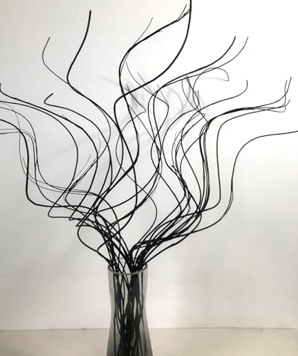 DongArts Rametti di salice secchi ondulati e ricci, decorativi per vasi e alberi di Natale, ghirlande, decorazioni per casa e artigianato (elegante nero)