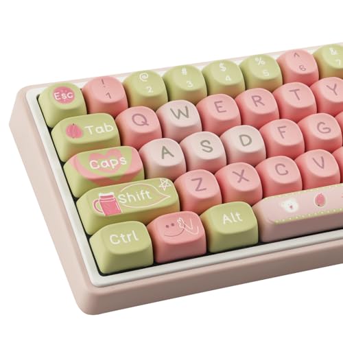 Touches PBT resistantes profil MOA Sunzit pour reparer un clavier efface
