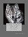 The Gray Wolf: Learn How To Scratch (The Art of Fine Lines) (Volume 2)